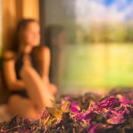 Hotel Sevtopolis Medical & Spa-2